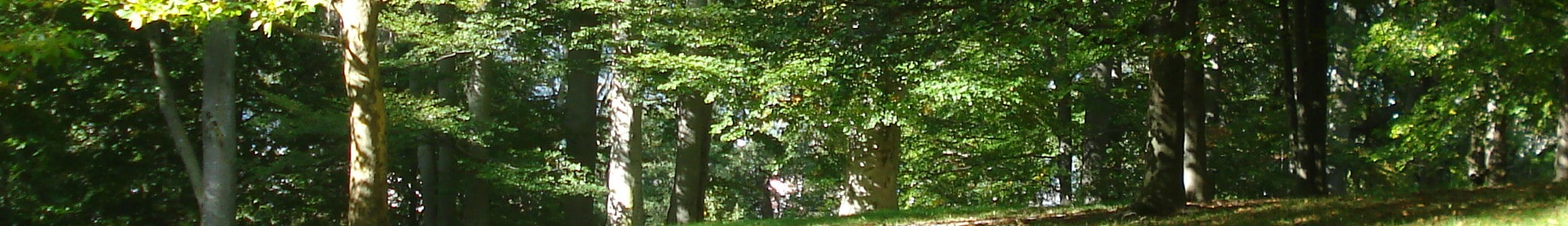 Cambrisparklim